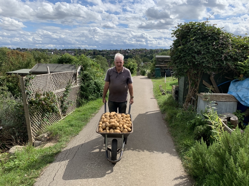 Ally Pally Allotments